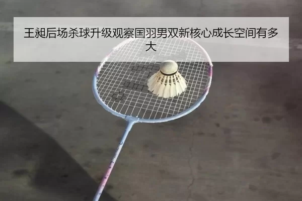 王昶后场杀球升级观察国羽男双新核心成长空间有多大