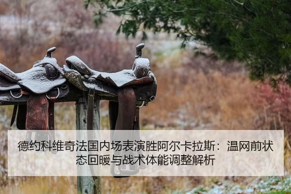 de-yue-ke-wei-qi-fa-guo-nei-chang-biao-yan-sheng-a-er-ka-la-si-wen-wang-qian-zhuang-tai-hui-nuan-yu-zhan-shu-ti-neng-2-400.jpg